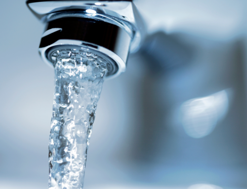 Why Regular Water Flushes are Essential for House Maintenance